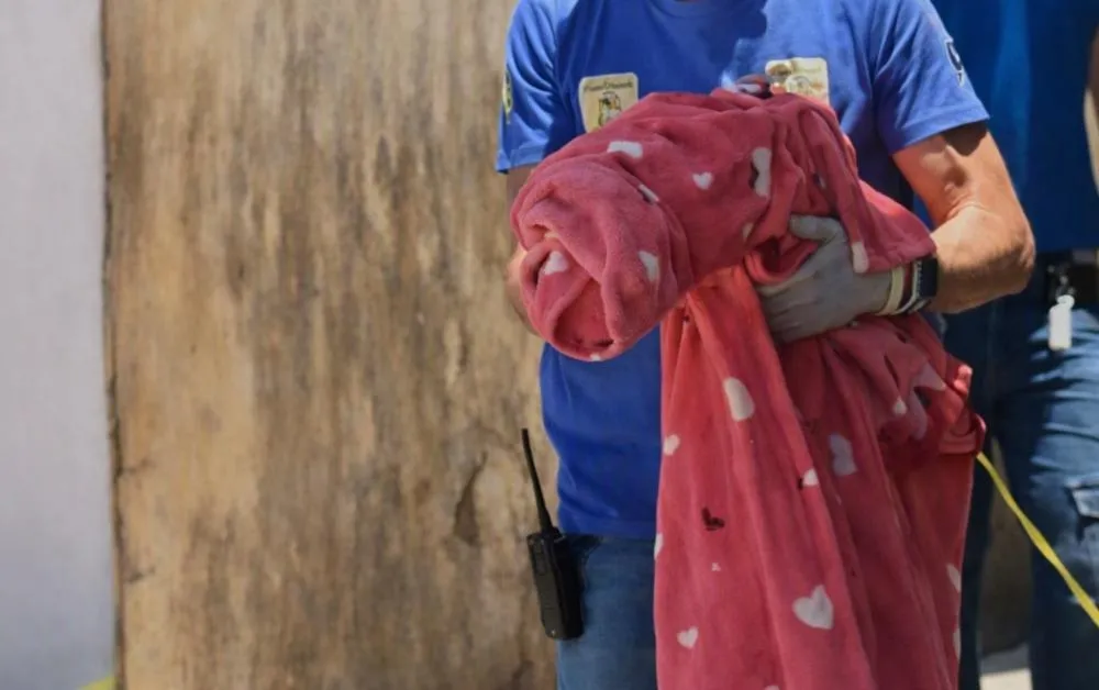 Foto: Reprodução
